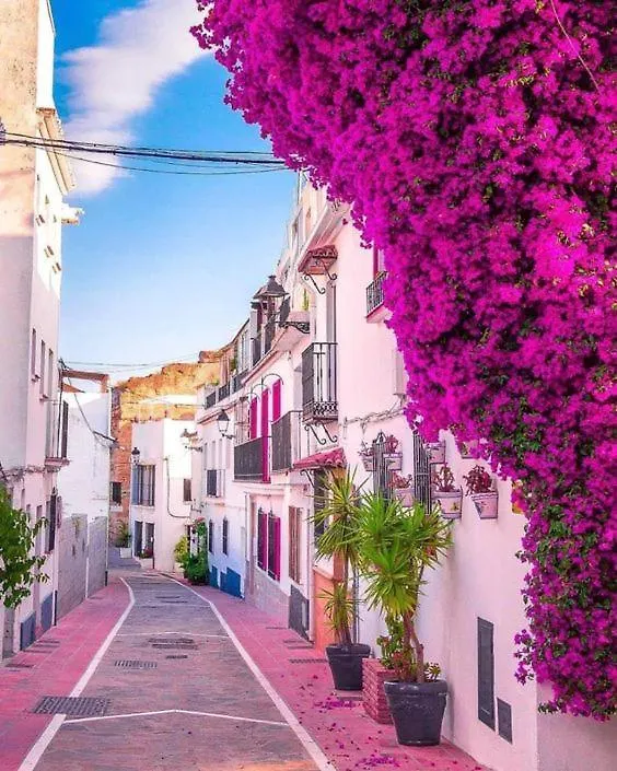 Apartmán Casa De Frida Marbella 0*,  Španělsko